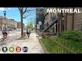 Montreal Walk from Plateau to Downtown - Montreal Walking Tour 2021