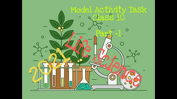 MODEL ACTIVITY TASK PART 1// CLASS 10 // LIFE SCIENCE
