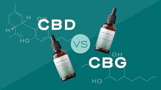 CBD vs CBG: Comparative Insights into Cannabinoid Diversity screenshot 3