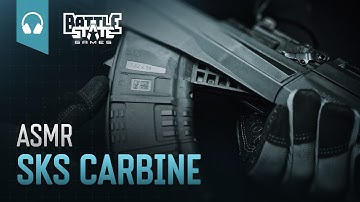 BSG.ASMR.SKS CARBINE