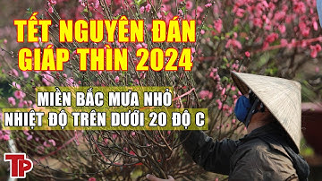 Kiểu thời tiết “độc nhất vô nhị” chỉ tết Thìn mới có, trải qua 6 thập kỷ đến nay | Tiền Phong TV