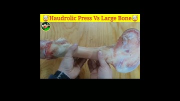 🤯Hydraulic Press Vs Large Bone 🤯|| Crazy Hydraulic Press || #shorts #yt #ytshorts #youtubeshorts