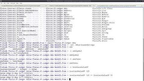 Plutus Pioneer Program - Second cohort - Lecture 5