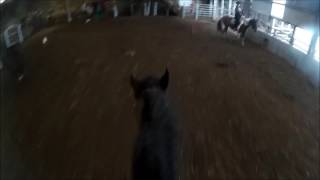 Horse Riding on Ivan 07-01-17