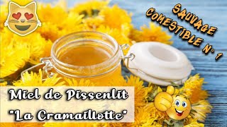 Autonomie & Miel ou Gelée de fleurs : La Cramaillotte de Pissenlits (plante sauvage comestible)