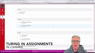 How to turn in assignments in Canvas