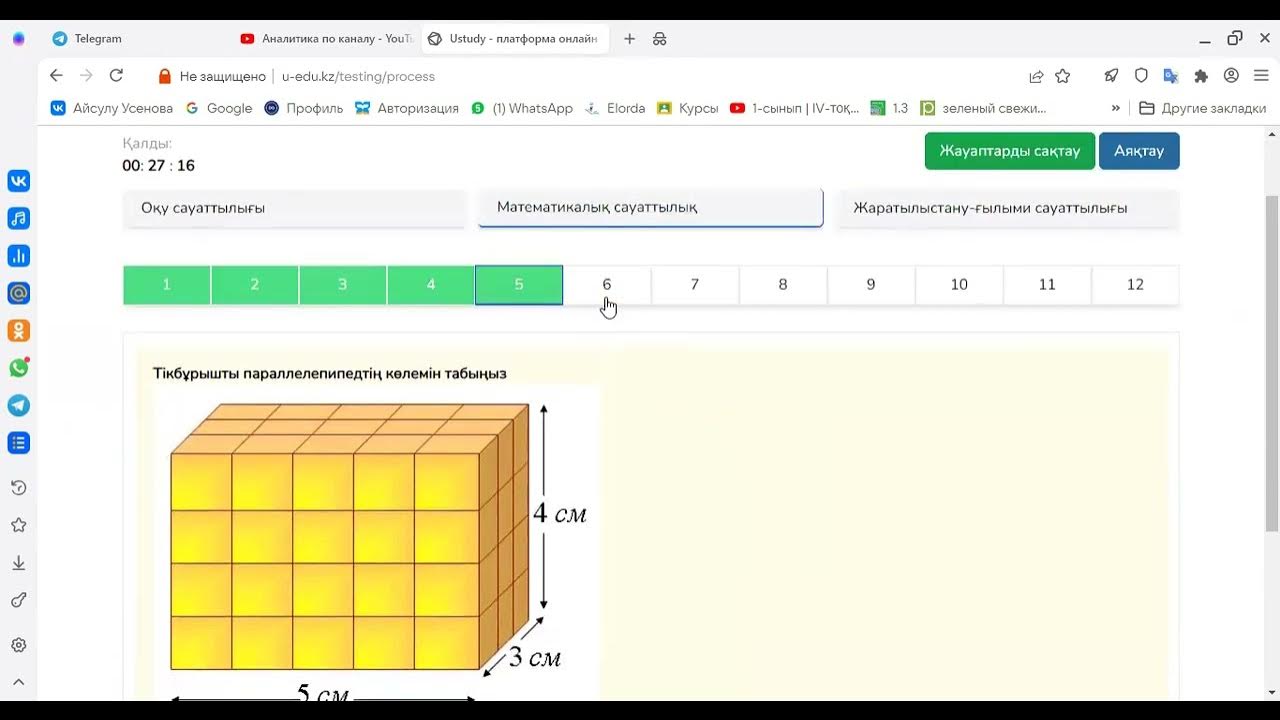 Модо 4 сынып пробный тест