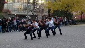 Lambda Theta Phi, Latin Fraternity, Inc. - Gamma Lambda Chapter NEXO Courtyard Show 2016