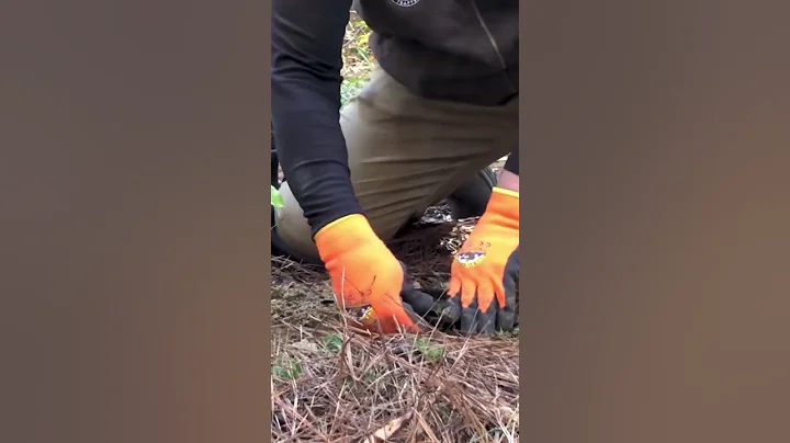 Gear to get started trapping. 🐾