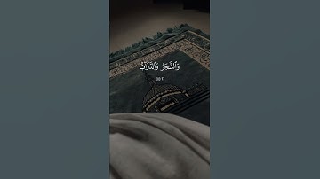 القرآن الكريم بصوت جميل استمع لا تهرب 🎧🤍