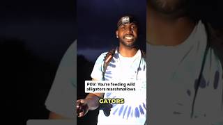 Alligators got a sweet tooth 🐊🤣 #wildlife #alligator #adventure