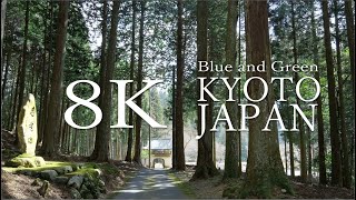 [8K]  青と緑の京都　Kyoto in Blue and Green