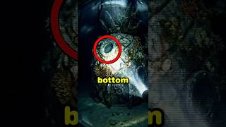 They Discovered The Bikini Bottoms Slit