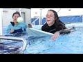 Learn about kinesiology degree programs at cal state san marcos csusm 2020