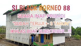 SI BLACK BORNEO 88 Inap Pribadi Terbaik.. Bermahar Dibagi Gratisss!!!