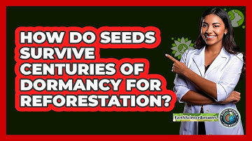 How Do Seeds Survive Centuries Of Dormancy For Reforestation? - Earth Science Answers