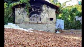 Koliva - Yüksek Dağlara Doğru.. Kalite