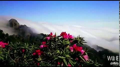 sea of clouds, flowers and mountains! This is Huangshan!