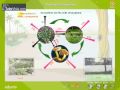Ecosystem Interactions: The Dance of Life and Environment