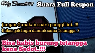 Suara panggil full respon#Bisa habis burung tetangga disedot suara panggil ini