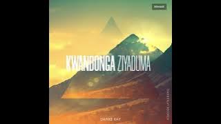 Mr Thela Ft Njelic - Kwandonga Ziyaduma (Remake by Dankii kay) F.t Dj Xanny