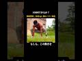 【何回できた？】20回以下は危機感持て#モテる男 #男性向け #筋トレ #腕立て伏せ #自重トレーニング