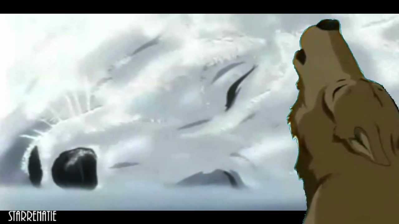 Wolf's Rain Gravity music video YouTube