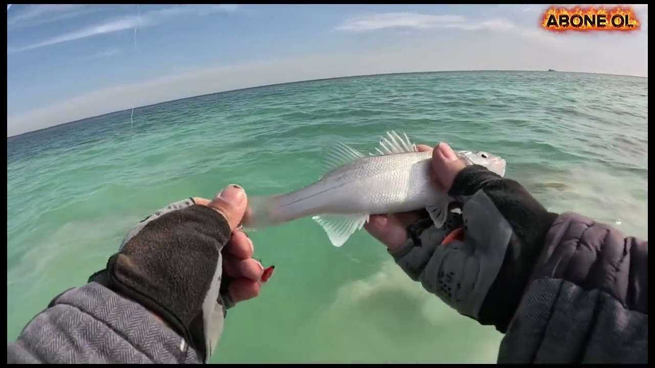 Ryuji V8 VE SiLİKON KAREDES İLE LEVREK AVI 