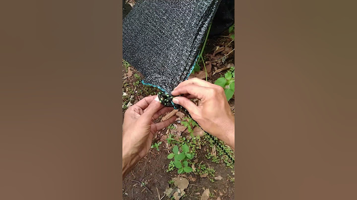 Incredible Tarp Corner Knot - simple but works #knot #shorts