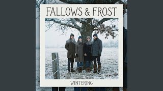 Paper Walls - Fallows Frost
