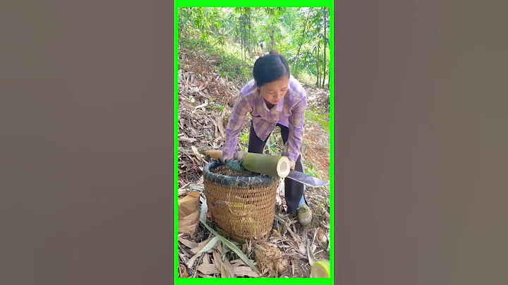 My sister picked bamboo shoots in the mountains #farming #garden - DayDayNews
