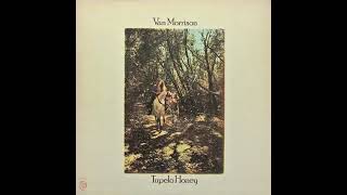 Van Morrison – Old Old Woodstock