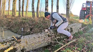 Arrachage au câble des arbres tombés dans la retenue d'eau  2019