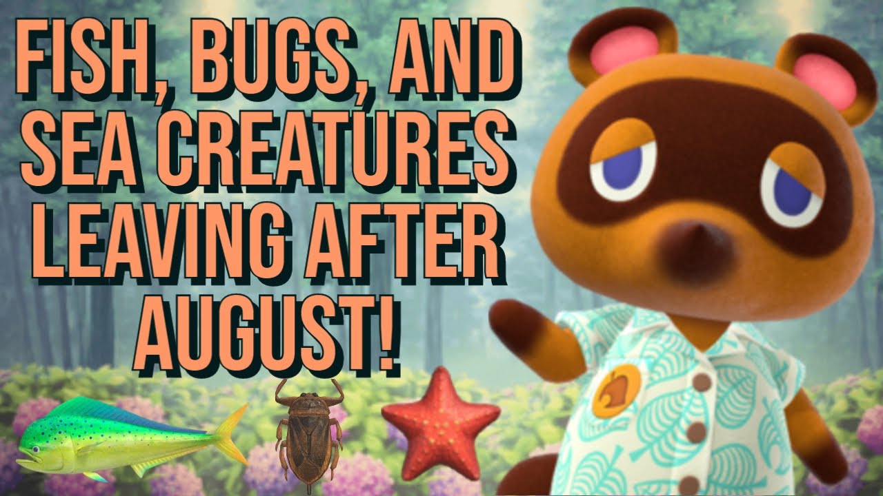 Animal crossing august fish and bugs