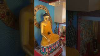 Happy Buddha Purnima 2024 🪷✨