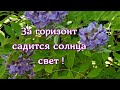 За горизонт садится солнца свет Уж день допел последний свой куплет