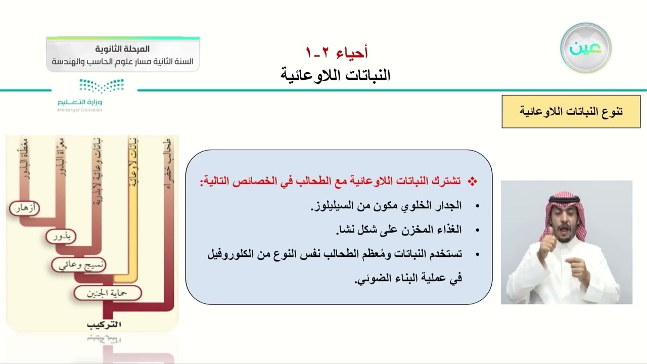النباتات اللاوعائية - الأحياء (2-1) - مسار علوم الحاسب والهندسة - السنة الثانية