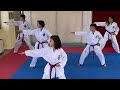Training taekwondo itf team pattern dosan tul