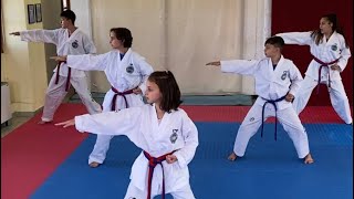 Training /Taekwondo ITF Team Pattern Do-San Tul