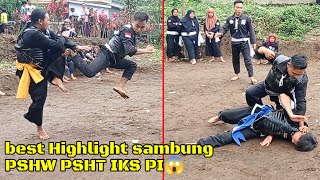 best highlight sambung seduluran PSHW PSHT dan IKS PI (Soko Probolinggo)