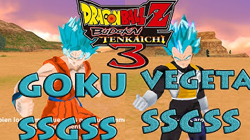 DragonBall Z Tenkaichi Tag Team Mods Tenkaichi 3 Goku SSGSS vs Vegeta SSGSS