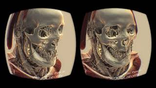 Nanographics Volume Rendering