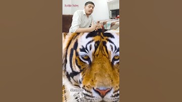 Lioness saved her baby to Python 😲।Lions।Python।Pythons।animals।wildlife।#shorts #animals #ytshorts