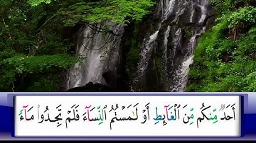 الربع      34/الشيخ محمد جبريل /من  سورة النساء