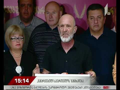 „გამარჯვებული საქართველოს“ ბრიფინგი