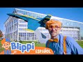 ✈️  Blippi aprende sobre aviones en el Museo del Vuelo✈️  | aprende con blippi | videos educativos