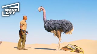 Jumanji The Next Level Ostrich Chase Scene The Rock Kevin Hart 4K Hd Clip With Captions