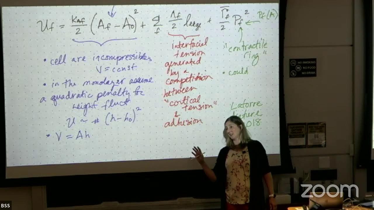 Lisa M. Manning II - Emergent mechanical properties of biological tissues (BSS 2024)