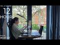 12-Hour LIVE Study/Work With Me 🎓 | Cozy UK Ambience | Custom Pomodoro Timer | Deep Work Mode