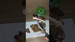 BIFE ACEBOLADO A PEDIDO DE UM INSCRITO!
